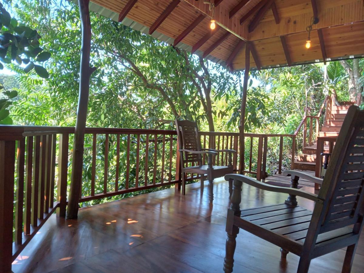 Cinnamon View Lodge ミリッサ エクステリア 写真