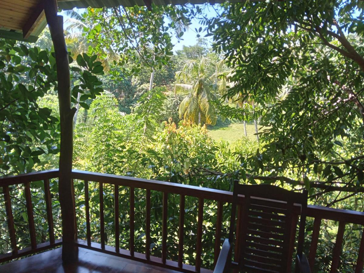 Cinnamon View Lodge ミリッサ エクステリア 写真